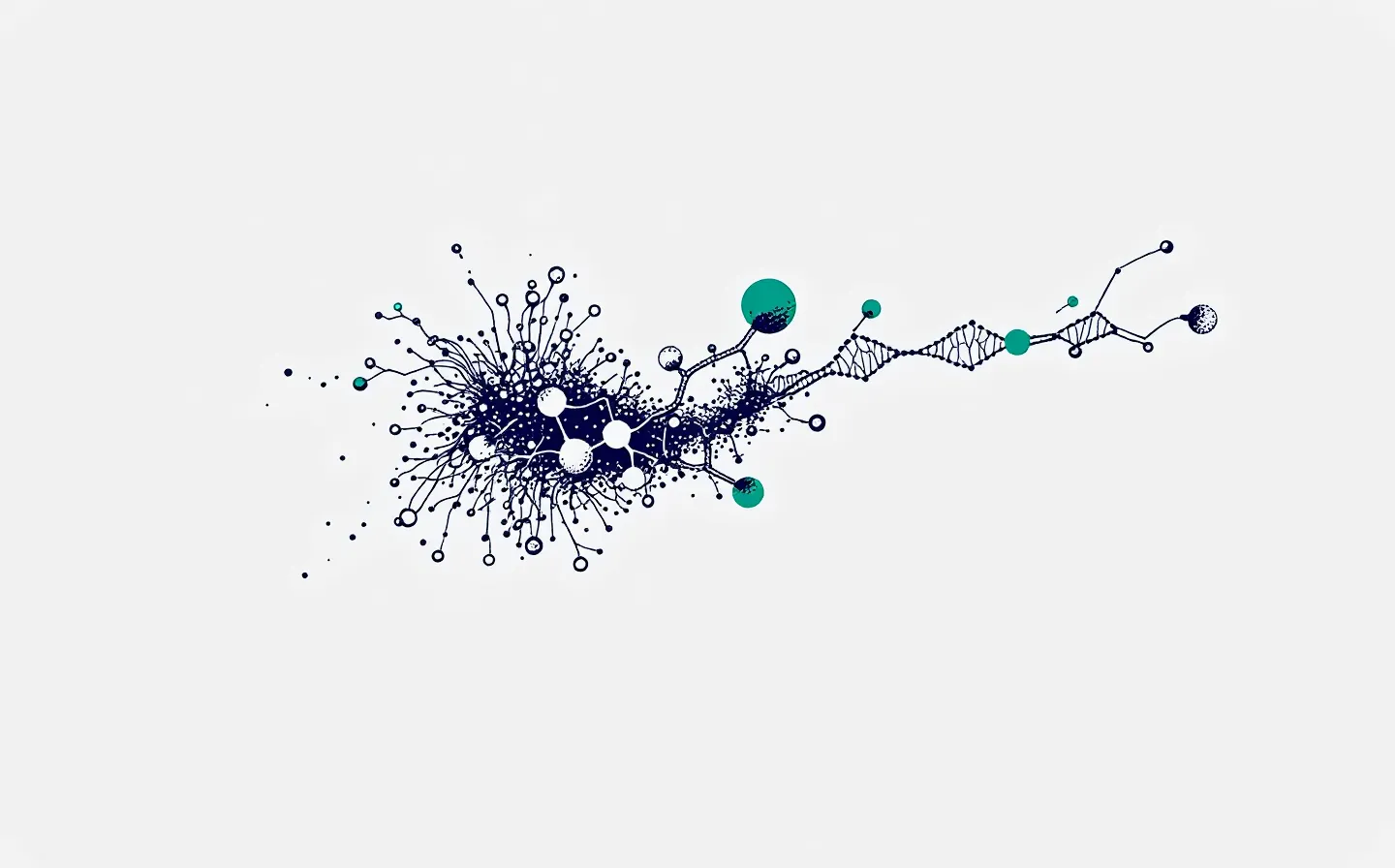Editorial ink-blue schematic of a globular actin monomer cradled one-to-one by a seven-bead heptapeptide chain capping both ends, with a verification-green binding node, on a deep slate ground